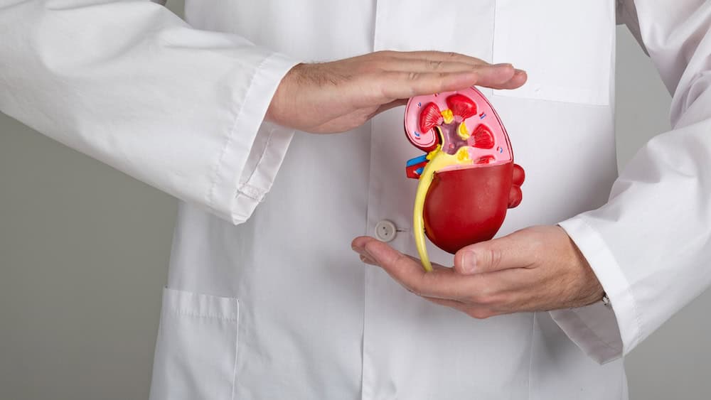 Understanding Kidney Health: Signs You Shouldn’t Ignore